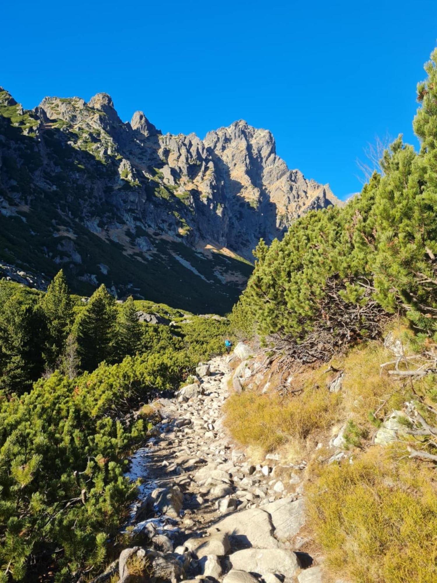 Apartman Horny Smokovec Vysoké Tatry Buitenkant foto